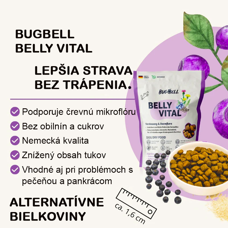 BugBell Belly Vital 800g infos